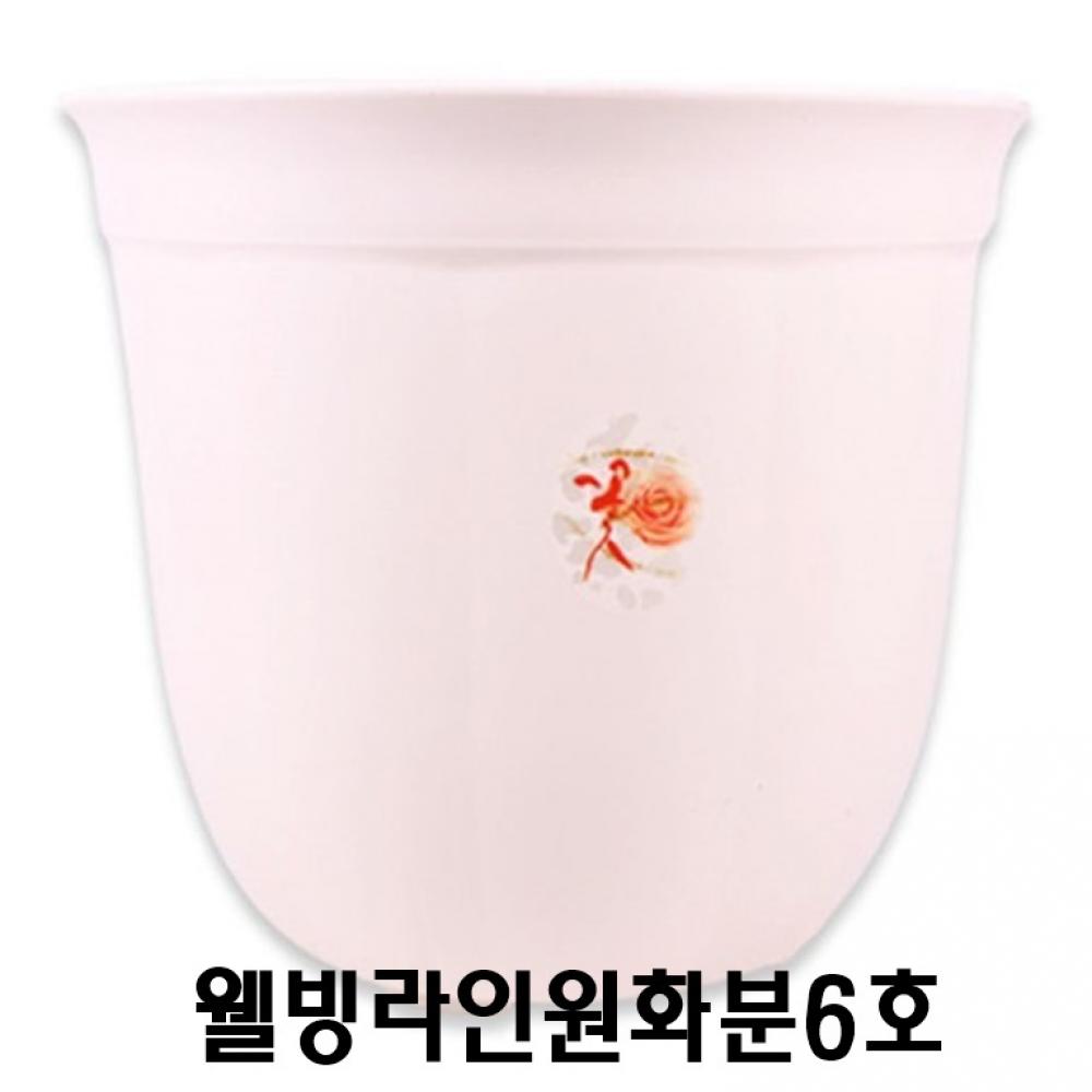 (set)웰빙라인원화분6호 29.5x24.5cm 5개