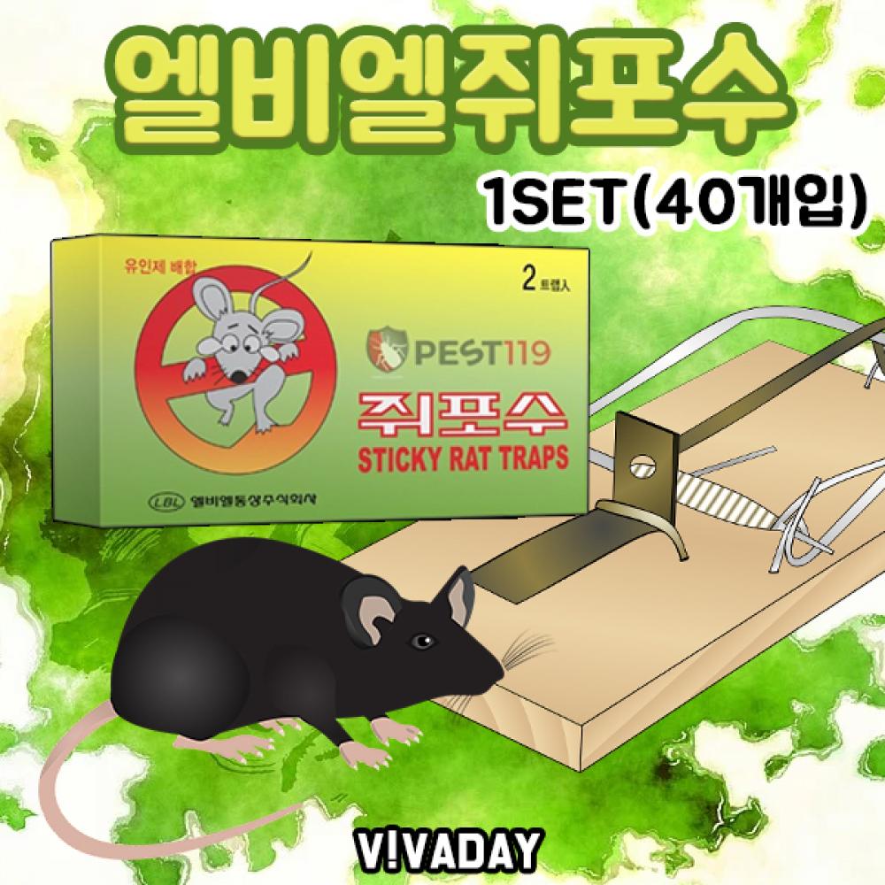 DK 엘비엘 쥐포수 쥐트랩 40개입 (1SET)
