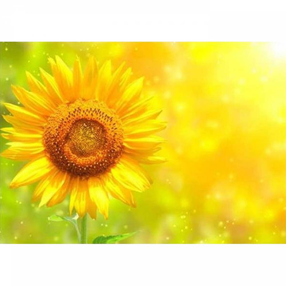 가을 해바라기 1 (패브릭) 보석십자수 사각 40x50