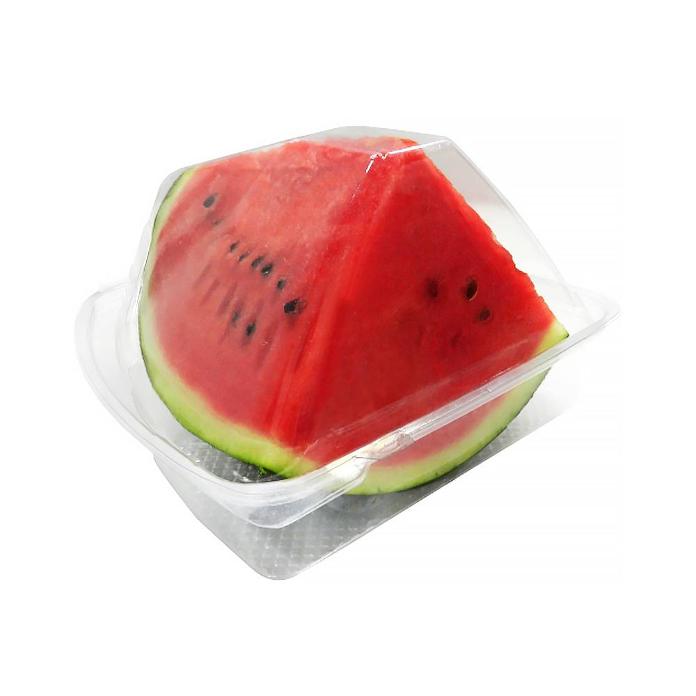 수박케이스 나들이 야외용 보관 용기 150P